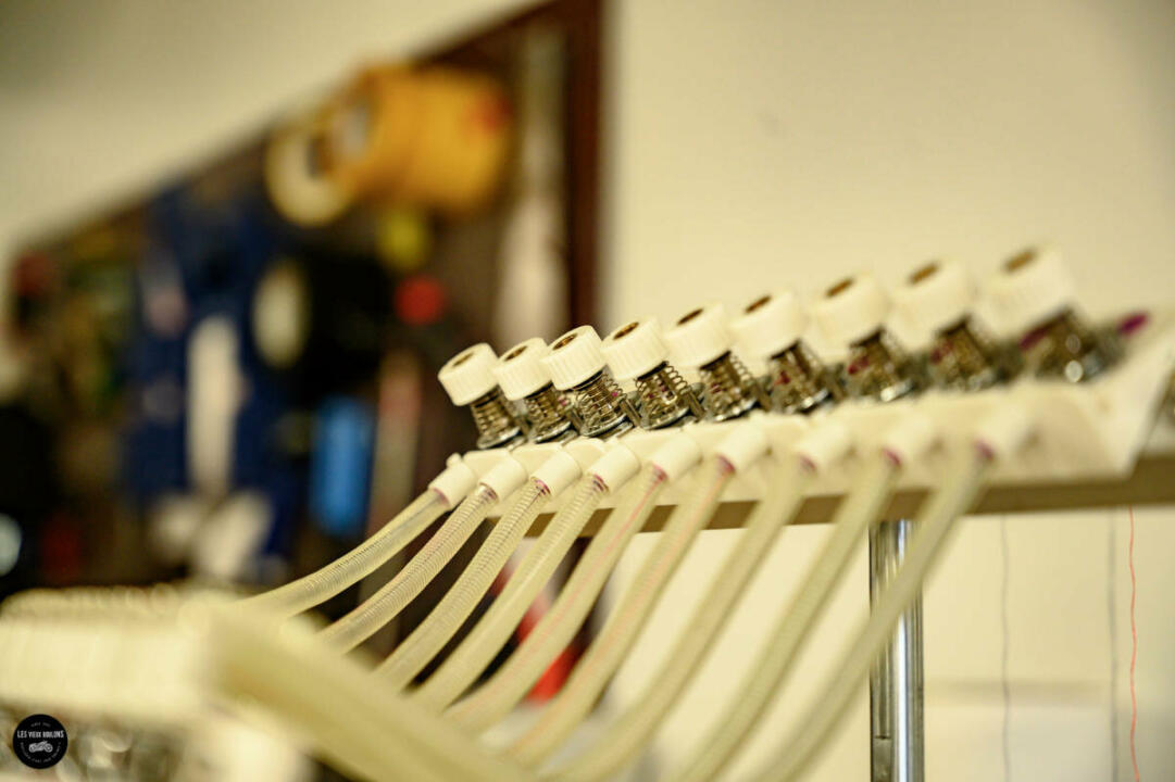 Selle sur mesure – Image 4