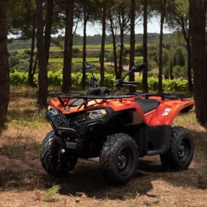 CFORCE 450 T3 EXPERT 2023